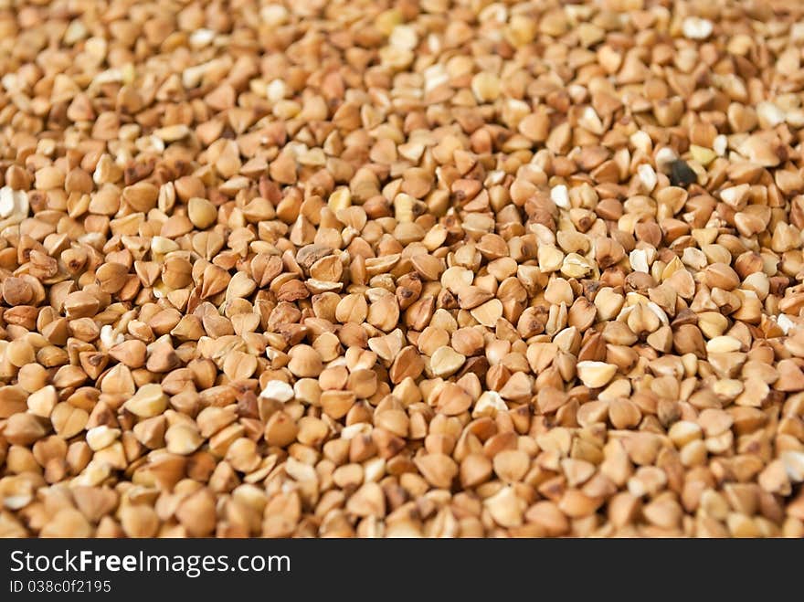 Backdground of buckwheat