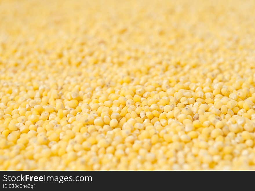 Yellow millet background, shallow depth of field