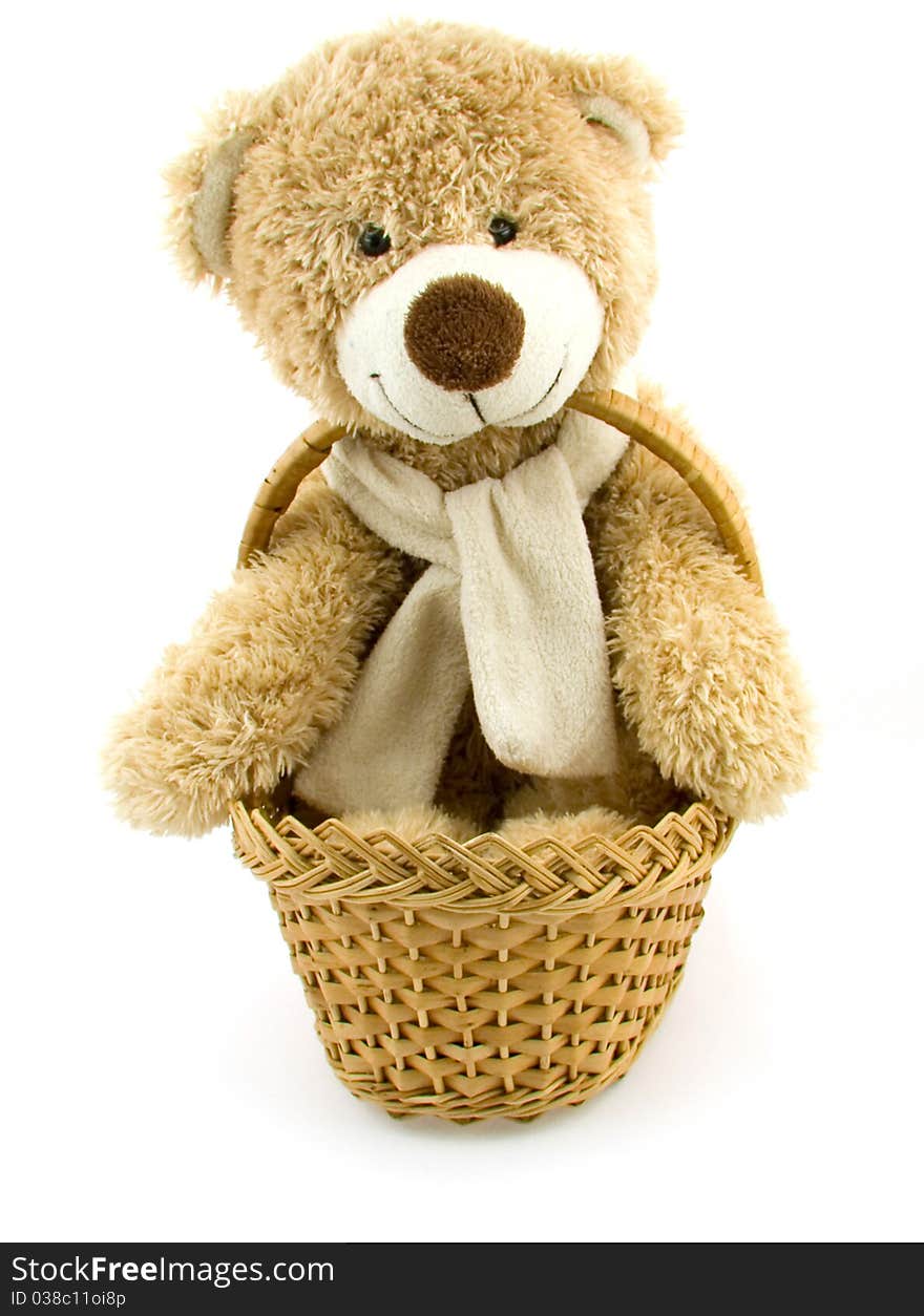 Toy Bear In A Small Basket