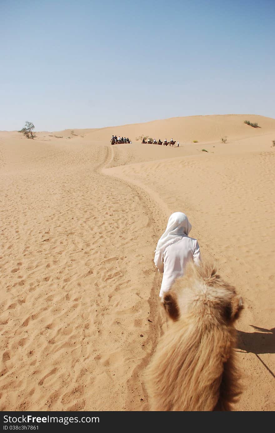 Camel trekking on desert in the noon. Camel trekking on desert in the noon