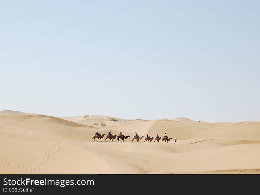 Camel trekking on desert in the noon. Camel trekking on desert in the noon