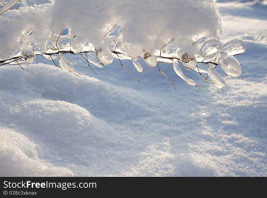 Ice on a grass under the snow. Ice on a grass under the snow