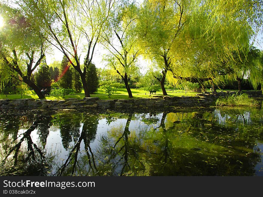 Reflection of trees in the summer palace. Reflection of trees in the summer palace