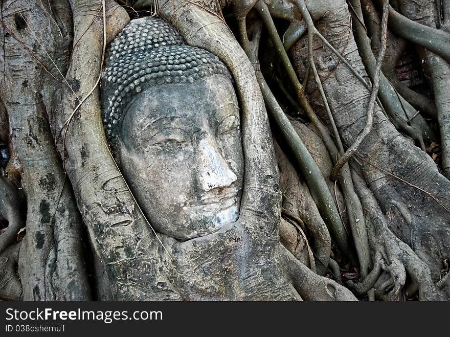 Head of Ancient Buddha made from sandstone in the overgrown tree , Asia , Thailand. Head of Ancient Buddha made from sandstone in the overgrown tree , Asia , Thailand