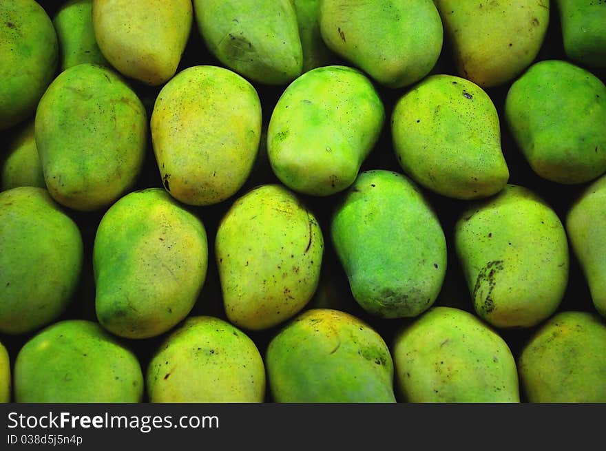 A lot of green mango fruit