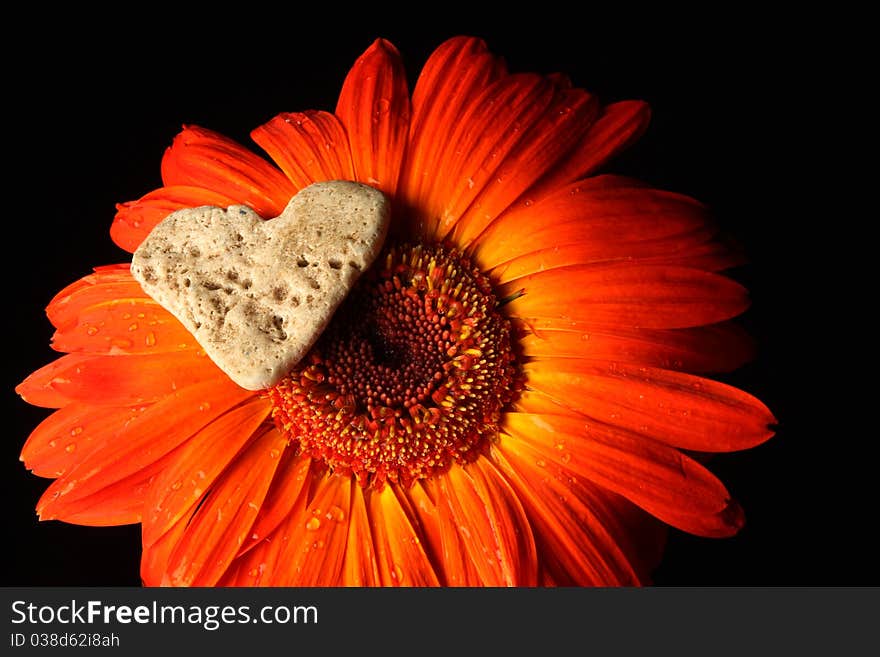 Red Flower and a heart. Red Flower and a heart