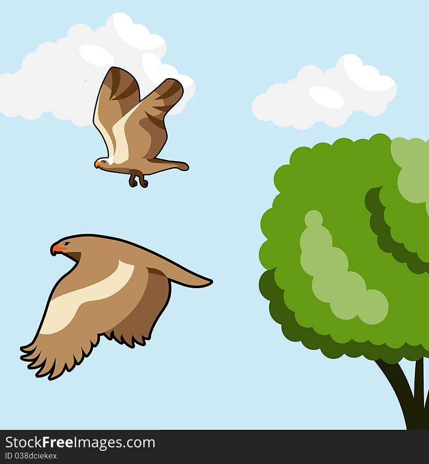 Flying birds