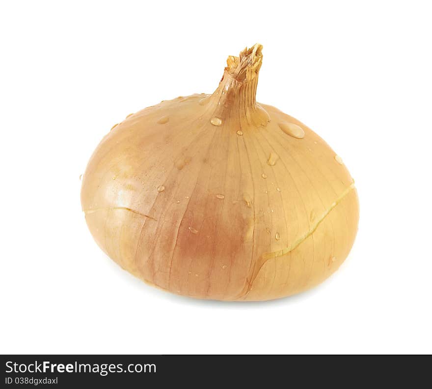 Yellow onion