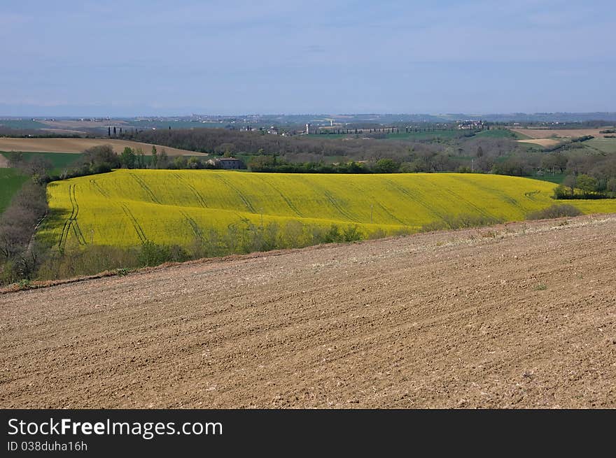 Fields and still fields as far as the eye can see!!. Fields and still fields as far as the eye can see!!