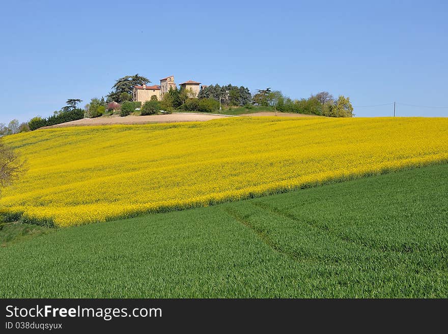 A quiet corner of a cultivated country. A quiet corner of a cultivated country