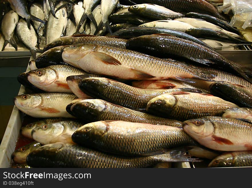 Fish on the fish market