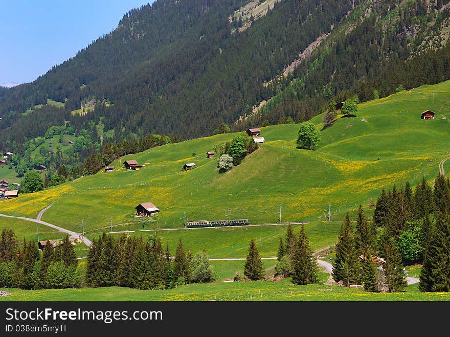 A train in the alps mountain. A train in the alps mountain