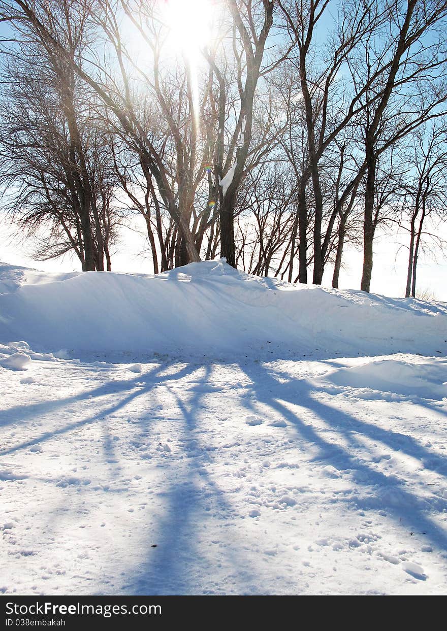 Snow Shadow