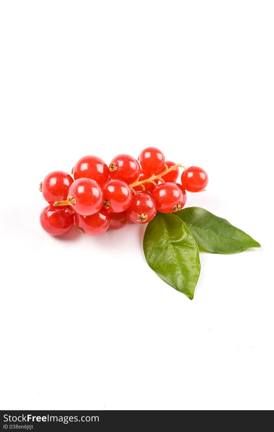 Photo of currants on white background