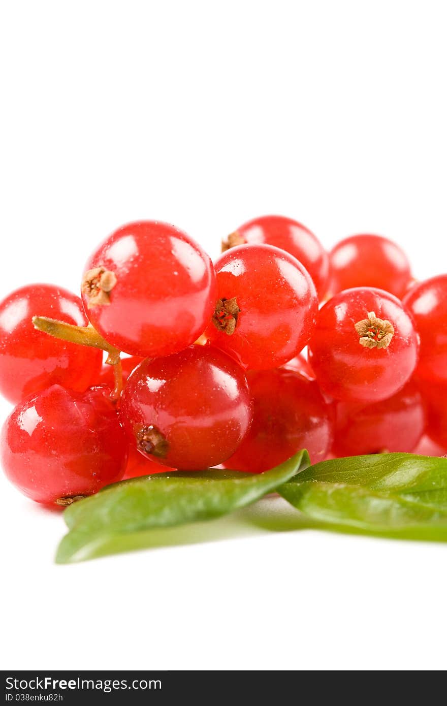 Photo of currants on white background