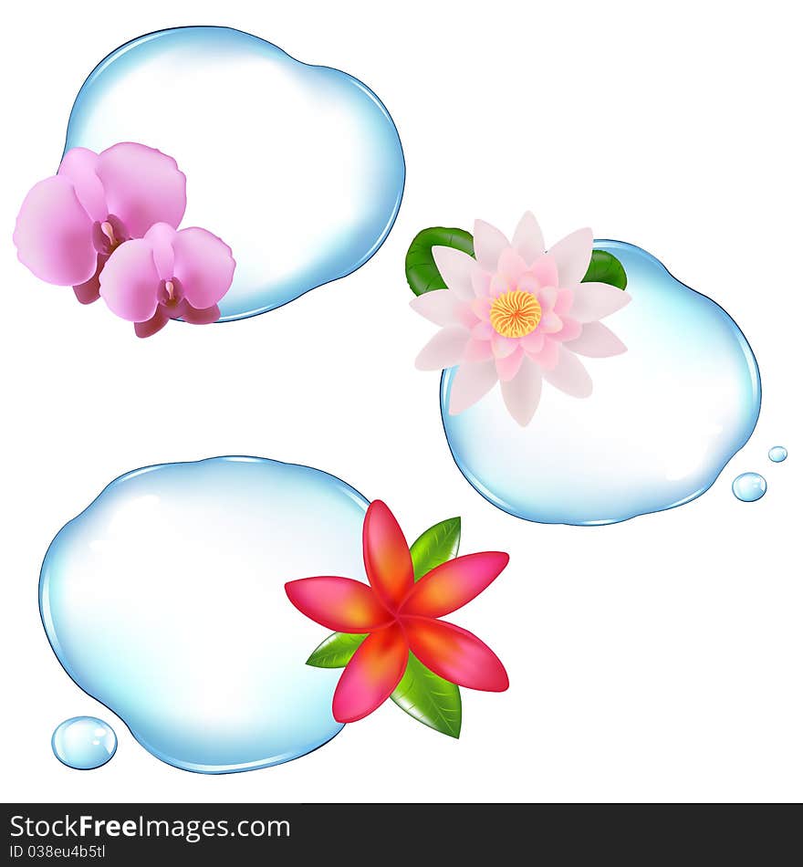 Flowers In Water