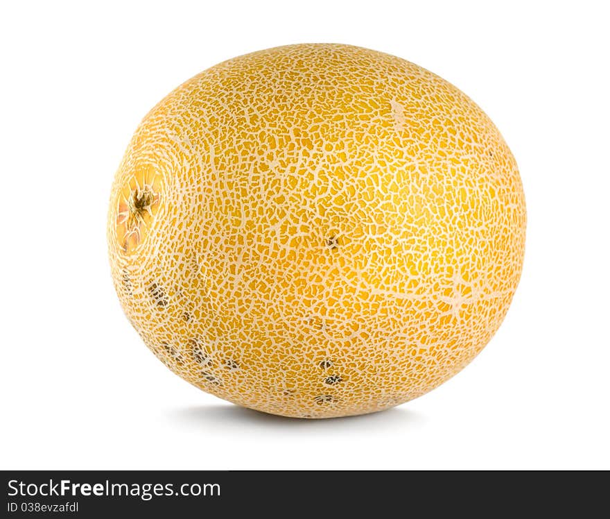 Cantaloupe