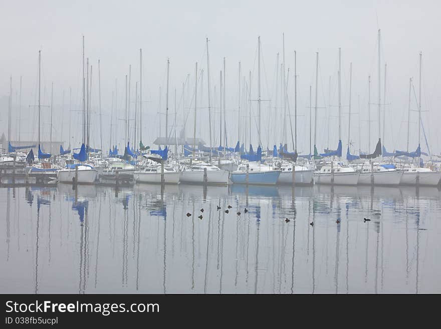 Foggy Sailboat Harbor