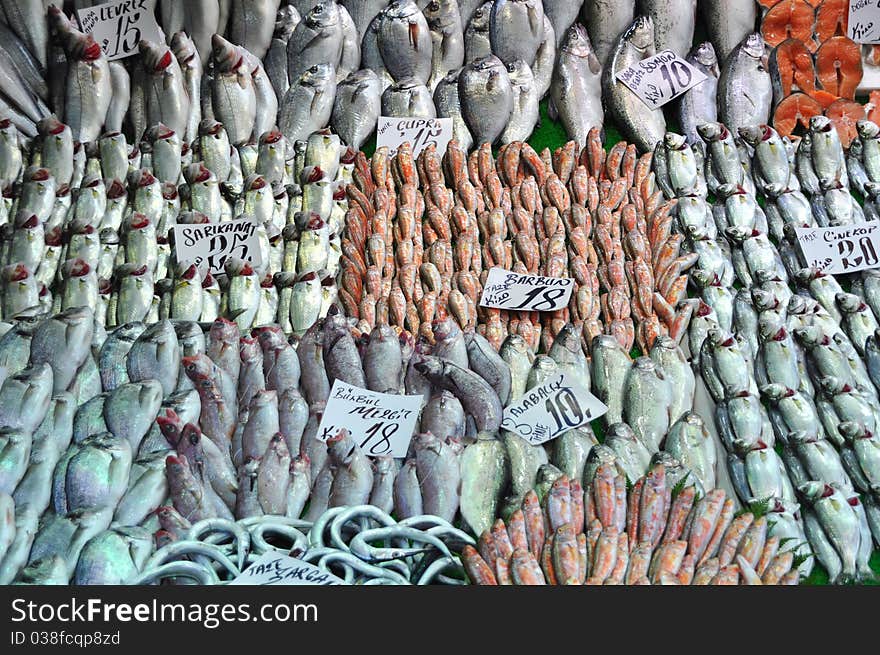 Photo of fresh fish at the Fish Market