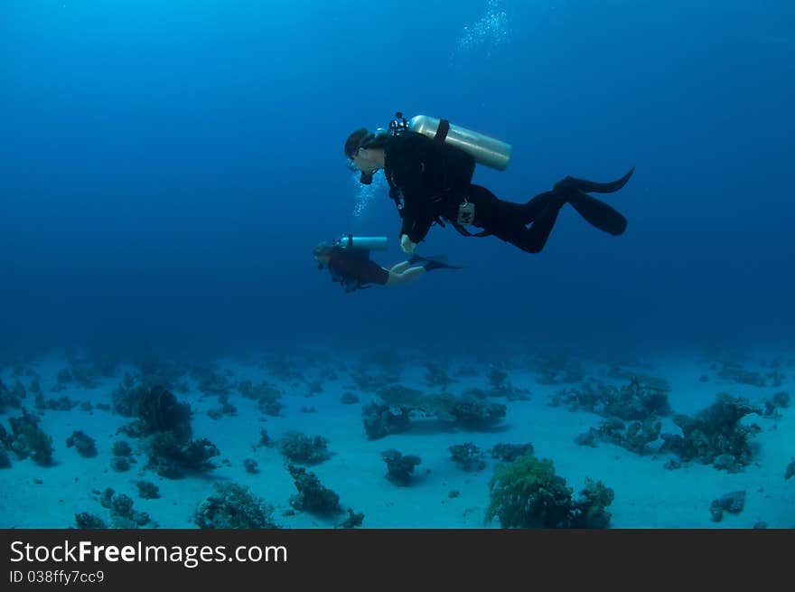 Scuba divers and coral in the blue ocean