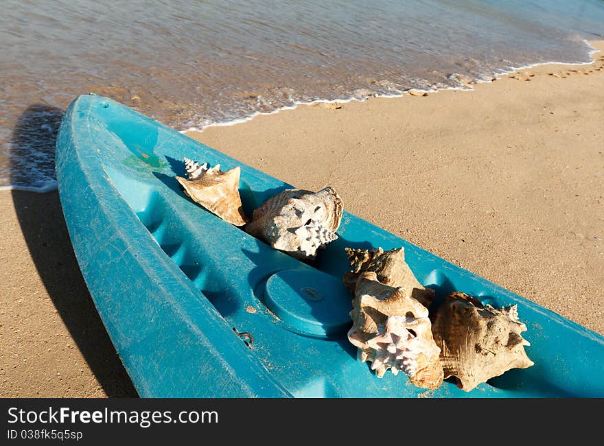 Seashells in a kayak on a tropical beach