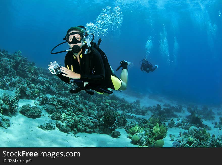 Scuba divers swim in background and red coral in the forground. Scuba divers swim in background and red coral in the forground