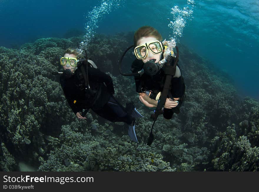 Scuba divers swim in ocean. Scuba divers swim in ocean