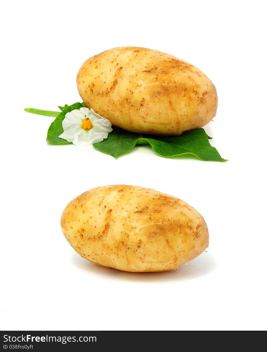 New potatoes isolated on a white background