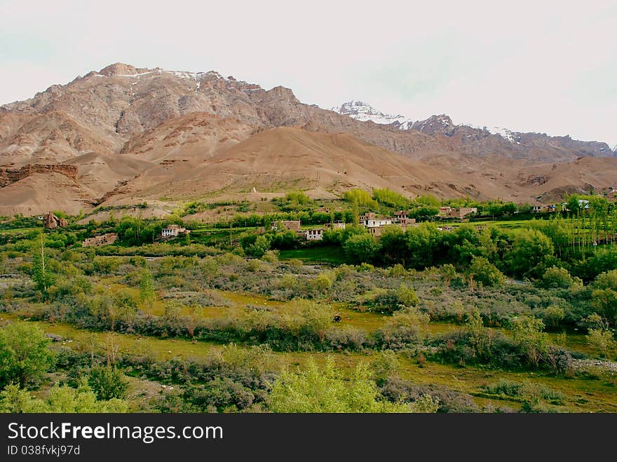 Ladakh mountains and greenery