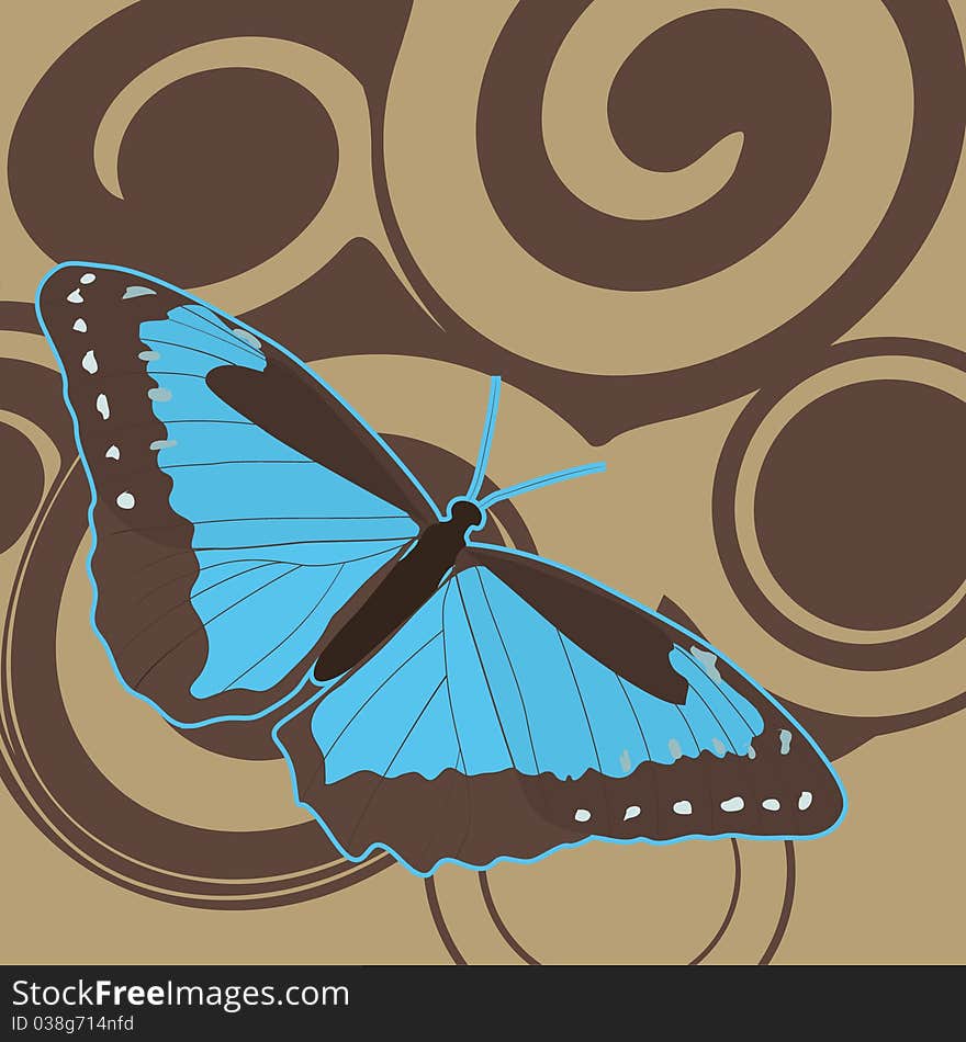 Blue Butterfly