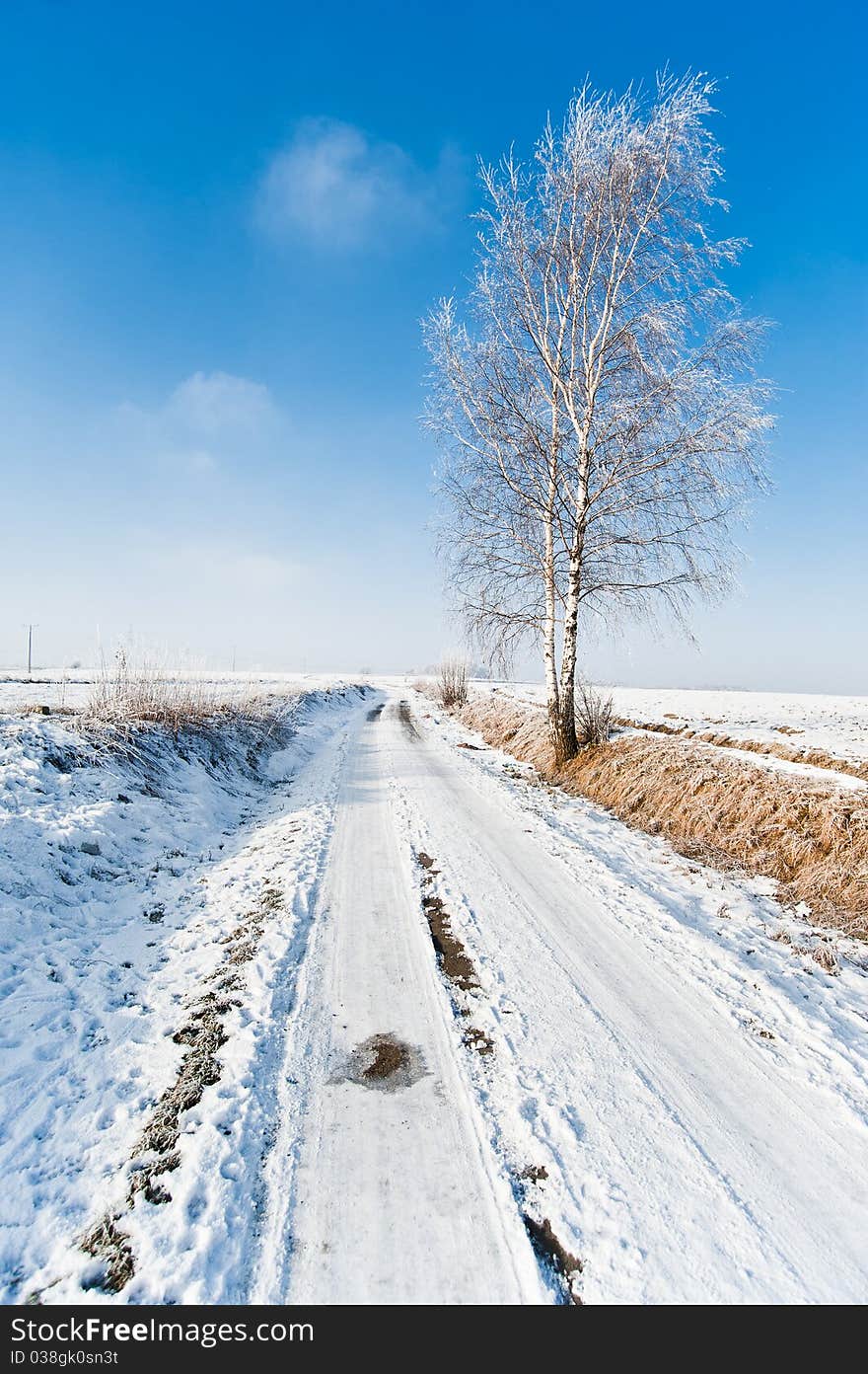 Winter road and frozen tree landscape