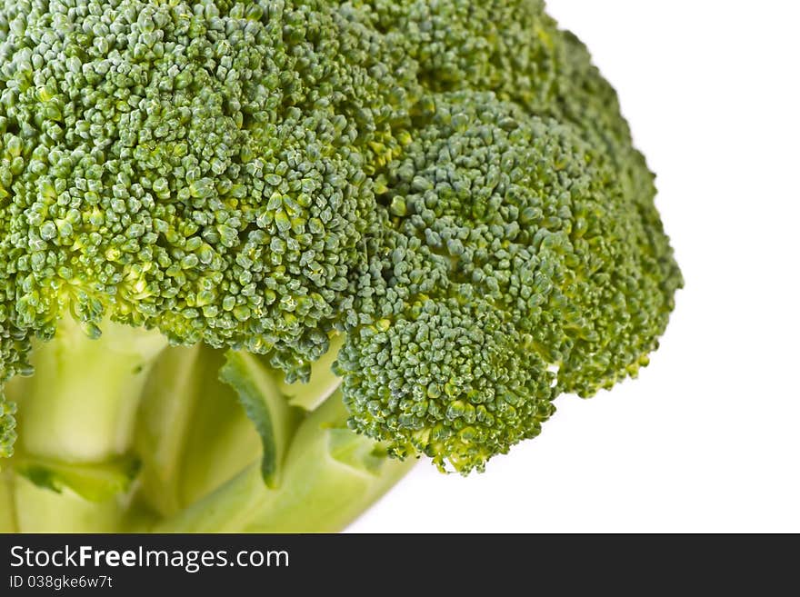 Macro of broccoli head across white