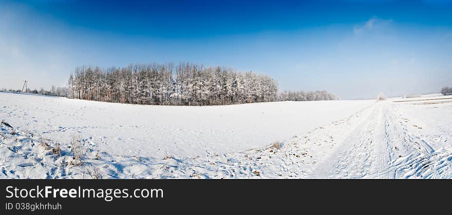 Winter field panorama