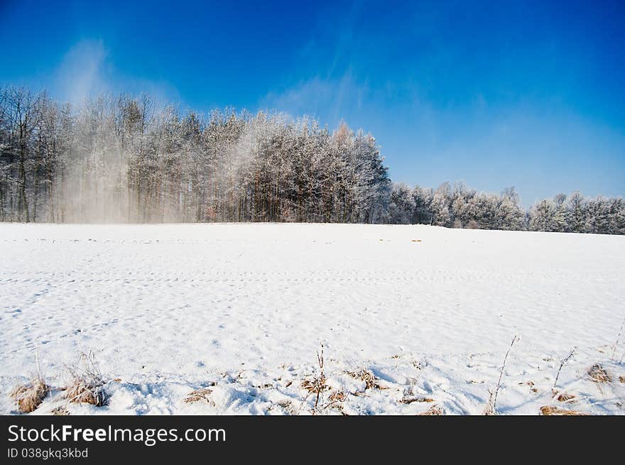 Snowstorm on the winter field panorama