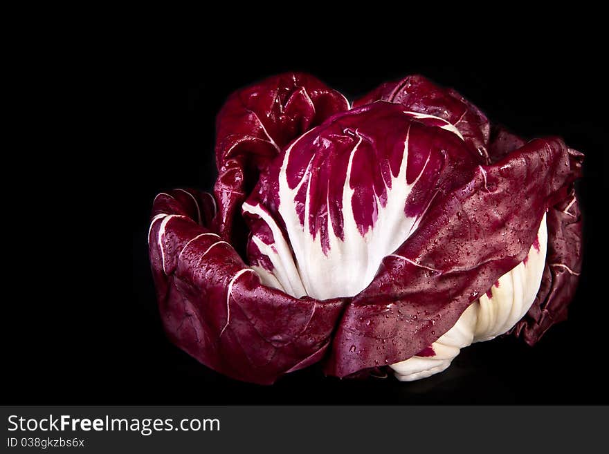 Head Of Radicchio Salad