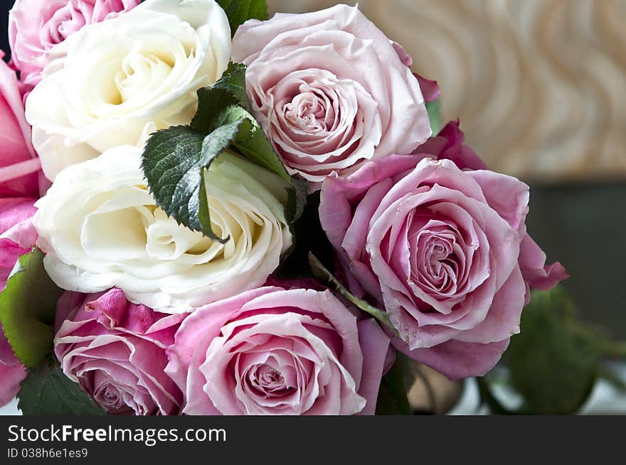 Clouse-up of white roses and pink mottled