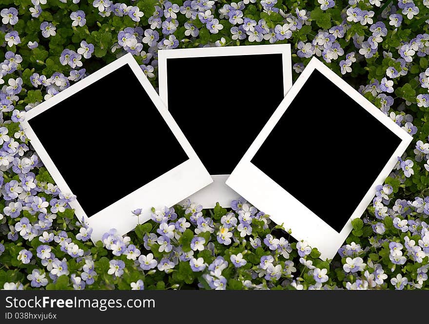 Blank photo on floral background