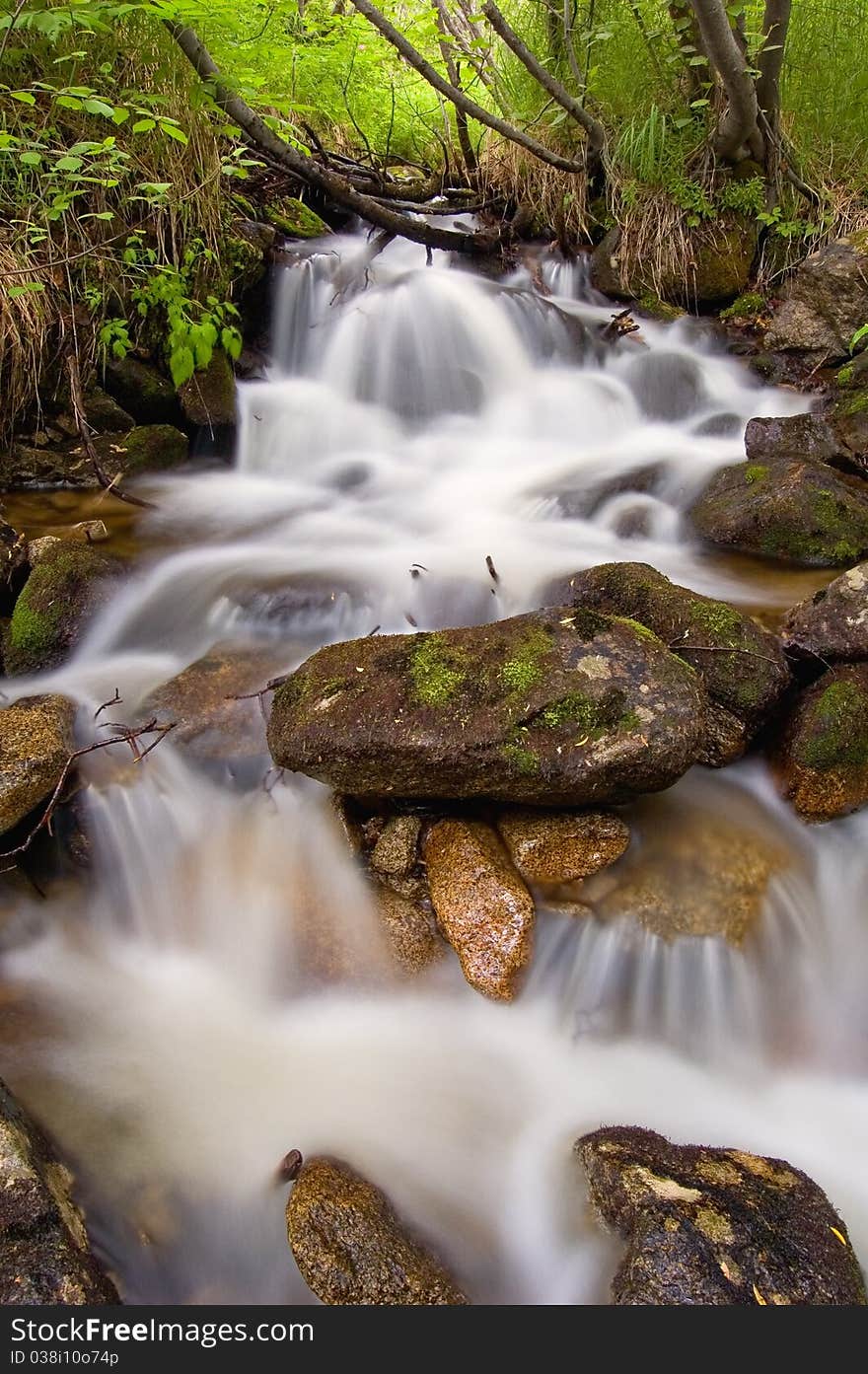 Stream in wood with small thresholds