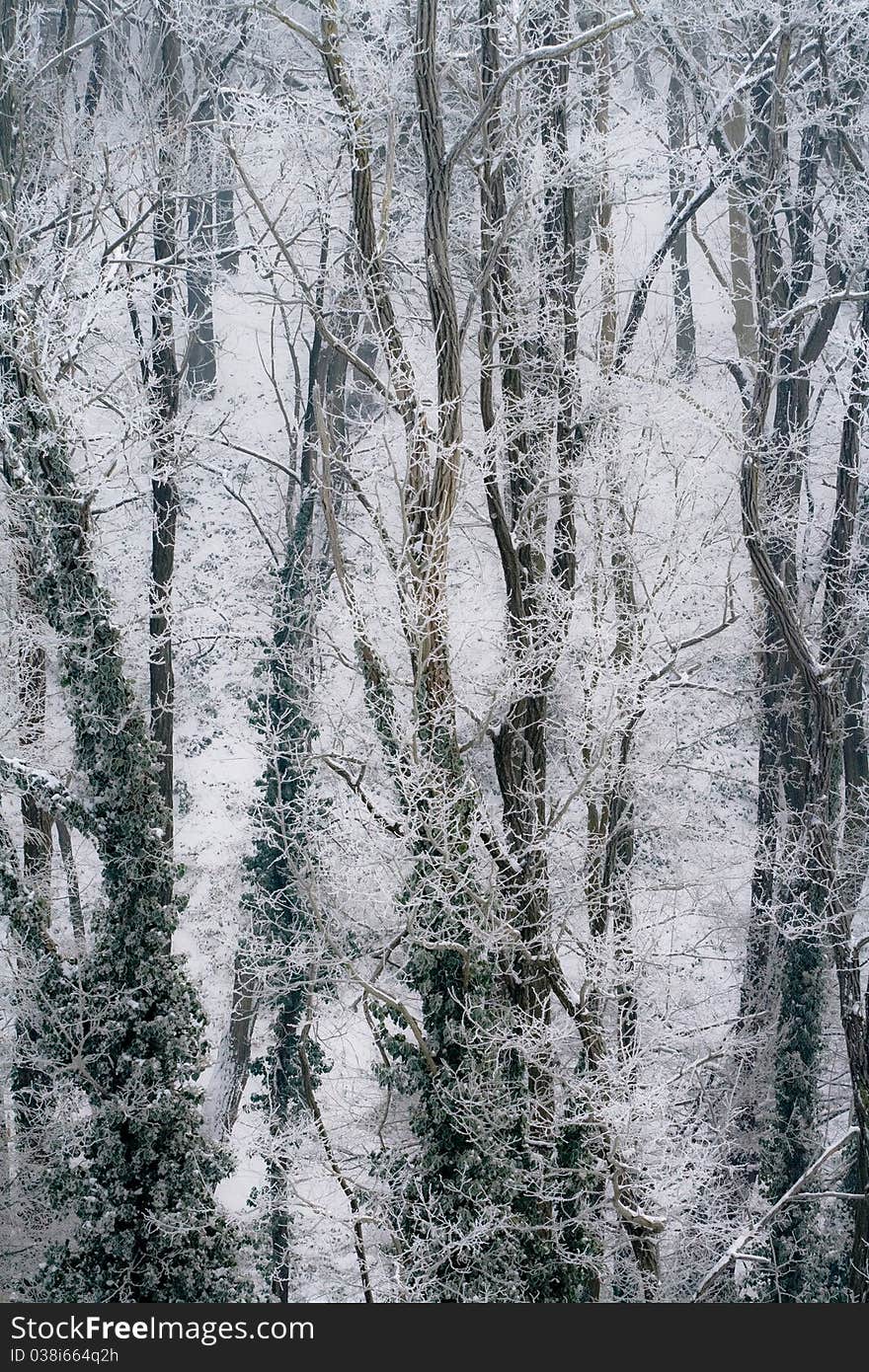 Park in snow