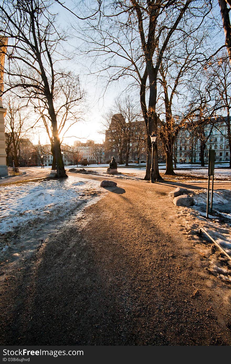 Shade in humlegården