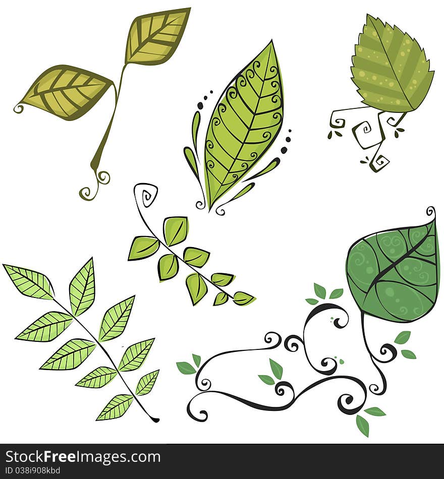 Vector illustration of different types of hand drawn leaves retraced and coloured in illustrator. Vector illustration of different types of hand drawn leaves retraced and coloured in illustrator.