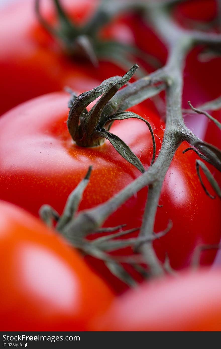 Closeup of red tomatoes