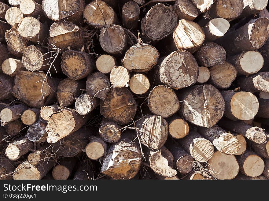 Stack of wooden logs awaiting the sawmill. Stack of wooden logs awaiting the sawmill