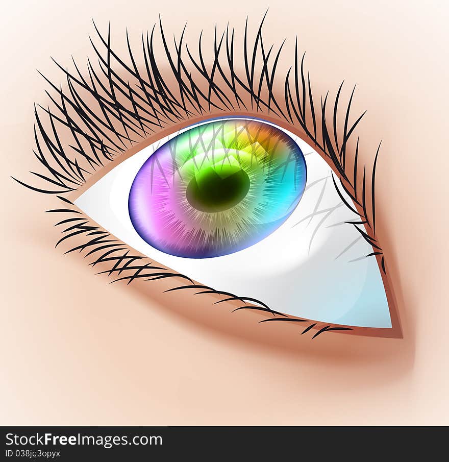 Multicolor human eye with eyelash illustration. Multicolor human eye with eyelash illustration.