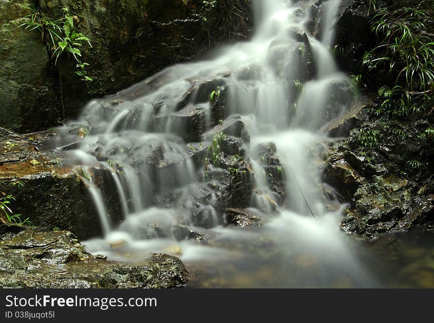 It is the waterfall in the forest.