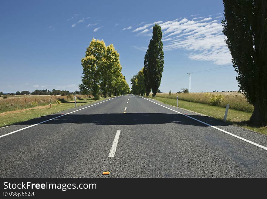 The road ahead, straight and tree lined. The kings Highway, Australia. The road ahead, straight and tree lined. The kings Highway, Australia.