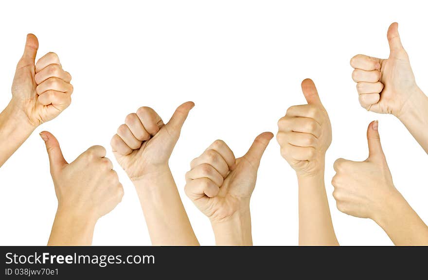 Many woman's hand lifted up on white background. Many woman's hand lifted up on white background