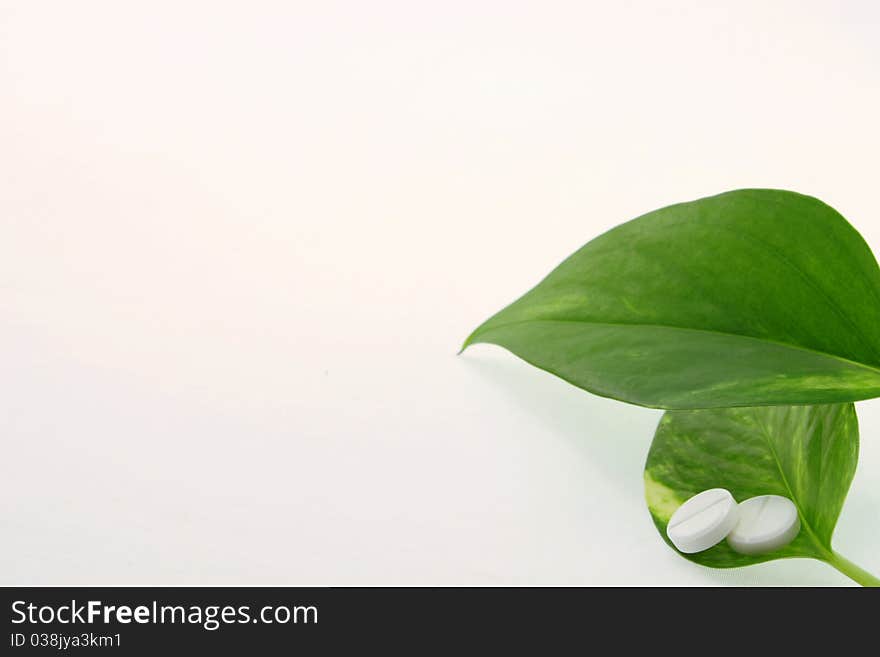 Two tablets with green leaves on white background close up