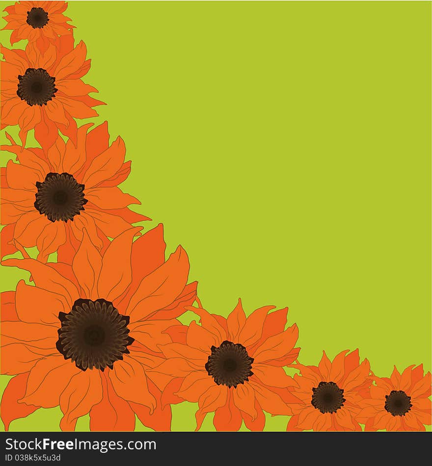 Card with sunflower. floral background. Card with sunflower. floral background.