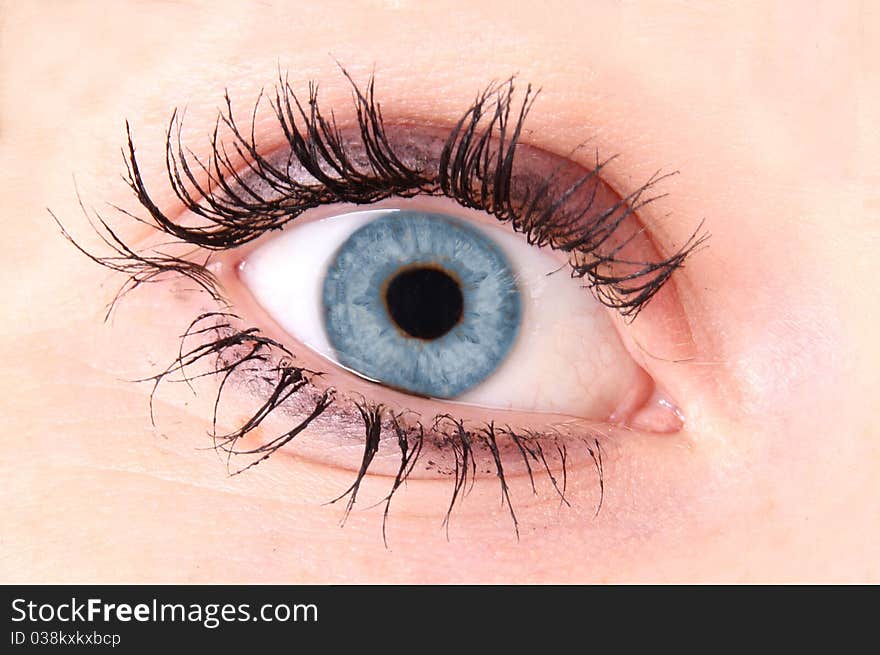 Macro photo of woman blue eye